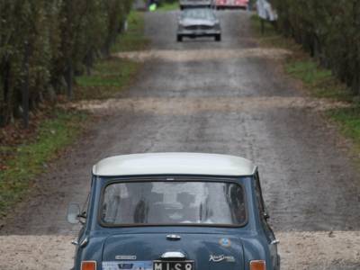 Coppa Franco Mazzotti 2019