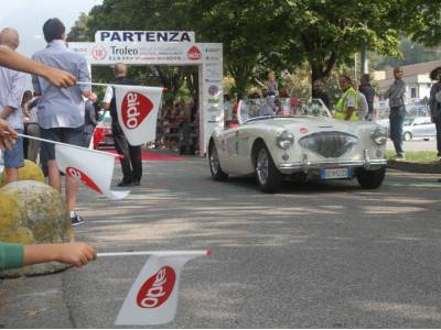 TROFEO AIDO 2018